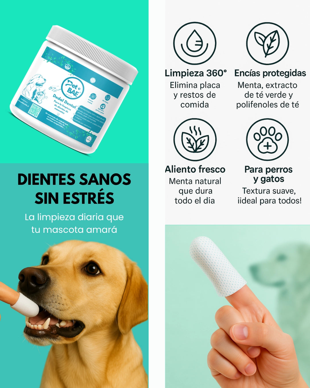 Banner promocional Pet BAE