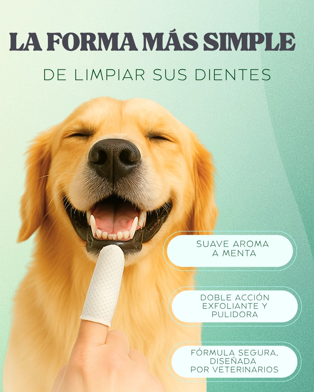Dedales Dentales Desechables para Mascotas