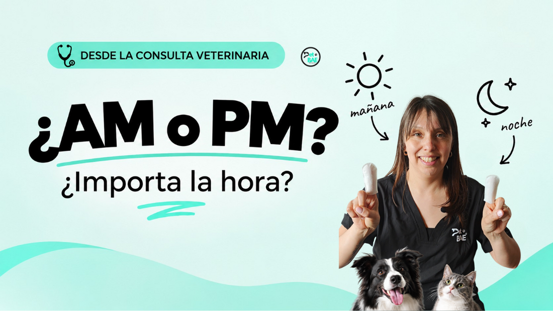 AM o PM: ¿cuándo limpiar sus dientes?