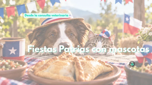 Fiestas Patrias con mascotas: qué pueden comer, qué evitar y cuándo preocuparse