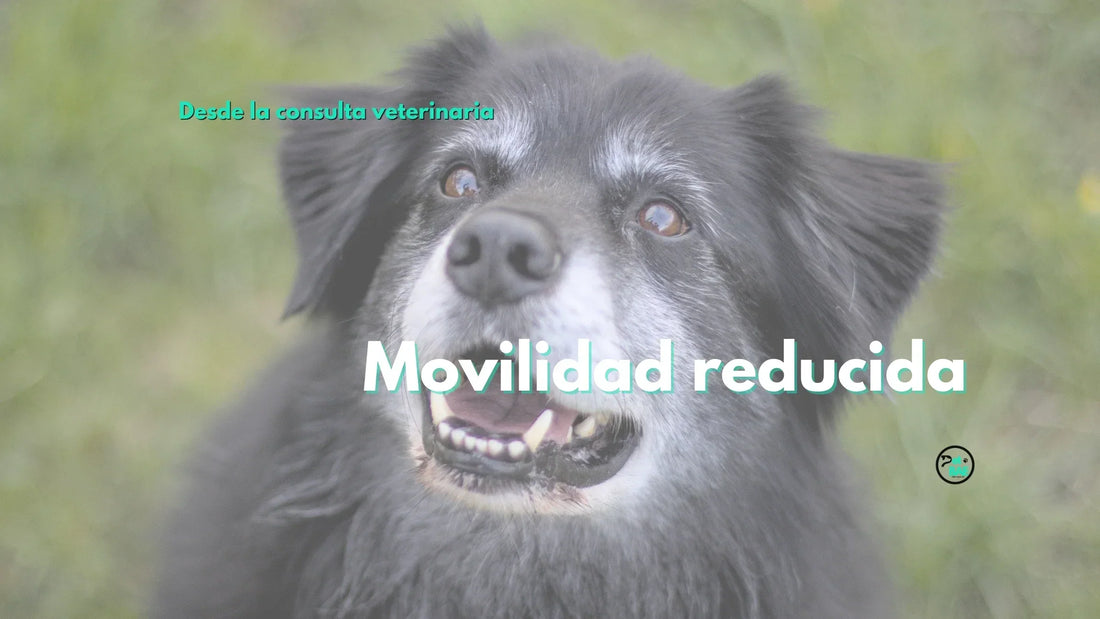 Movilidad reducida