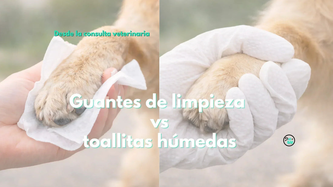 Guantes de limpieza vs toallitas húmedas para mascotas: cuál conviene más
