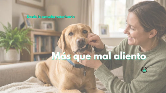 ¿La salud dental de tu perro puede afectar algo más que su boca?