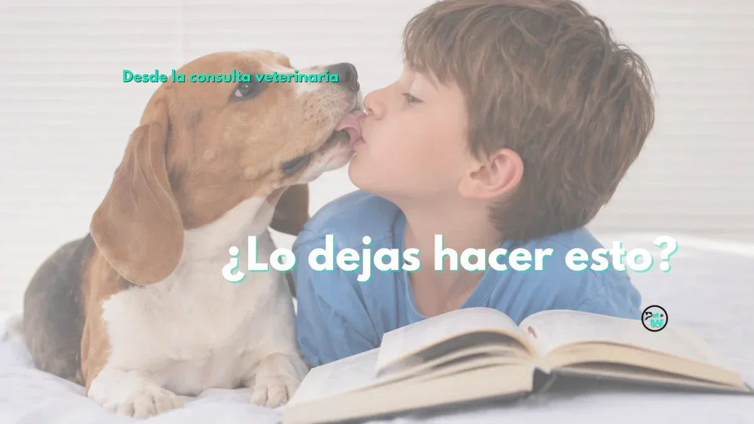 ¿Es seguro que tu perro lama la cara de tus hijos? Lo que importa de su higiene oral