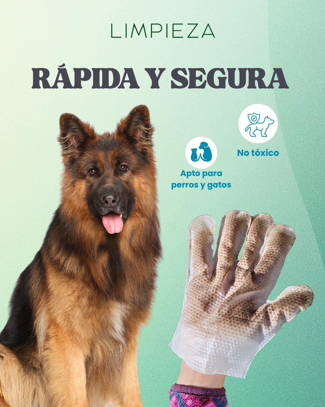 Pack Diario 1+1 — 1 Barril Dental + 1 Guantes | Pet BAE