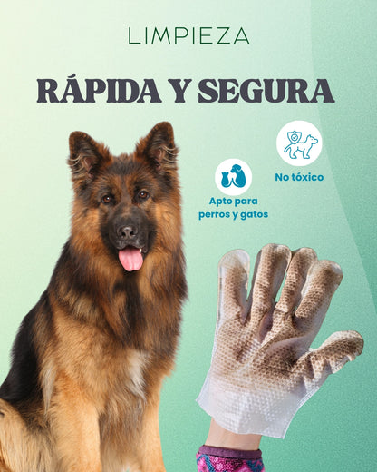 Pack Diario 1+1 — 1 Barril Dental + 1 Guantes | Pet BAE