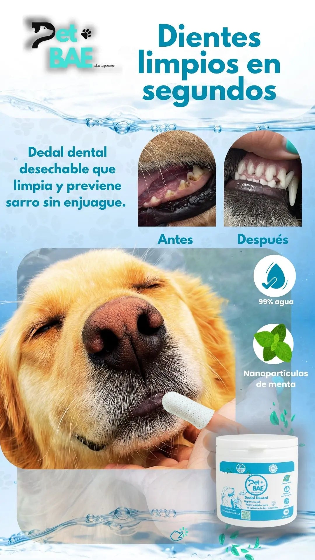 Pack Paseos 2+1 — 2 Guantes+ 1 Barril Dental Guantes | Pet BAE