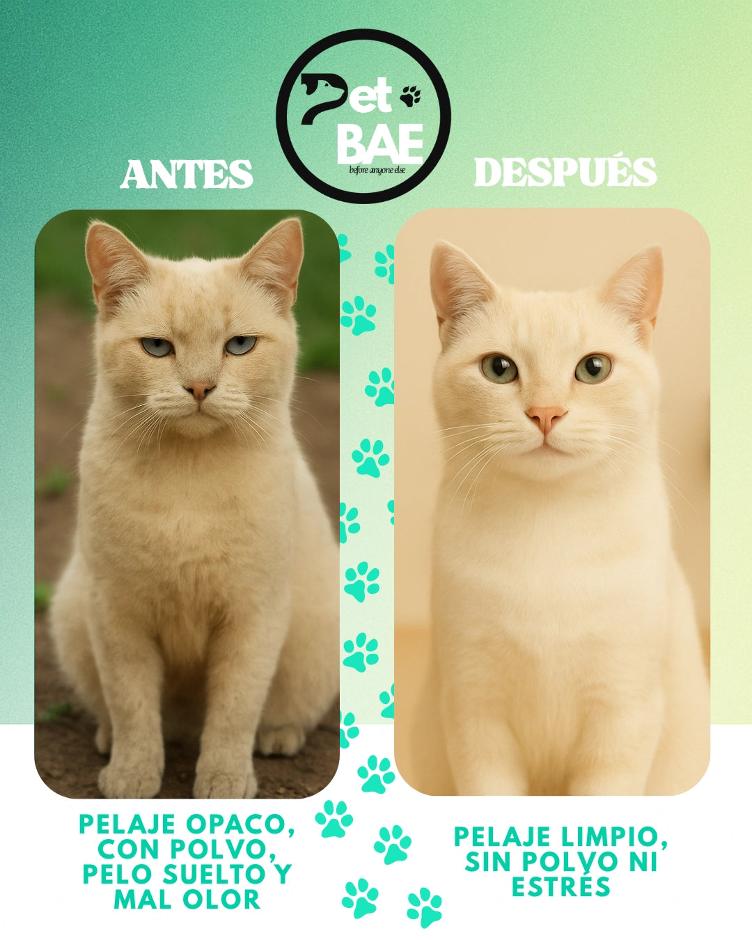 Guantes de higiene para mascotas, 99% agua purificada (EDI) – Pet BAE