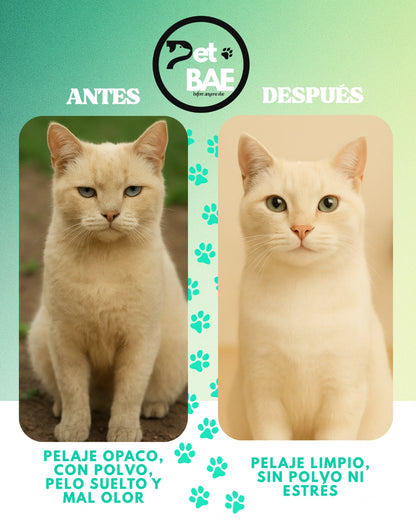 Guantes de higiene para mascotas, 99% agua purificada (EDI) – Pet BAE