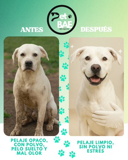 Guantes de higiene para mascotas, 99% agua purificada (EDI) – Pet BAE