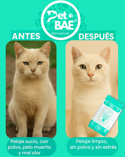 Antes y después limpieza de gato con guantes Pet BAE