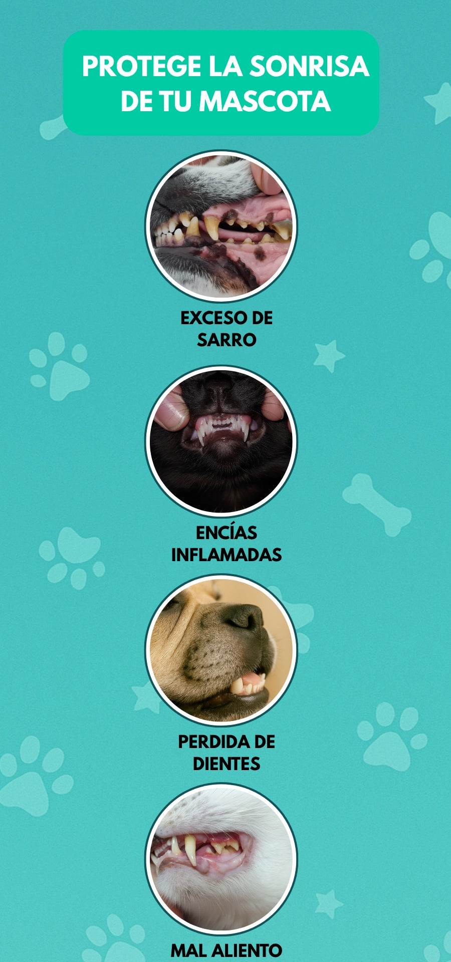 Banner_beneficio_dedal_dental