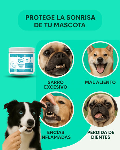 Dedales Dentales Desechables para Mascotas