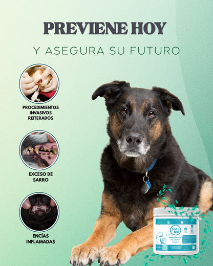 Dedales Dentales Desechables para Mascotas