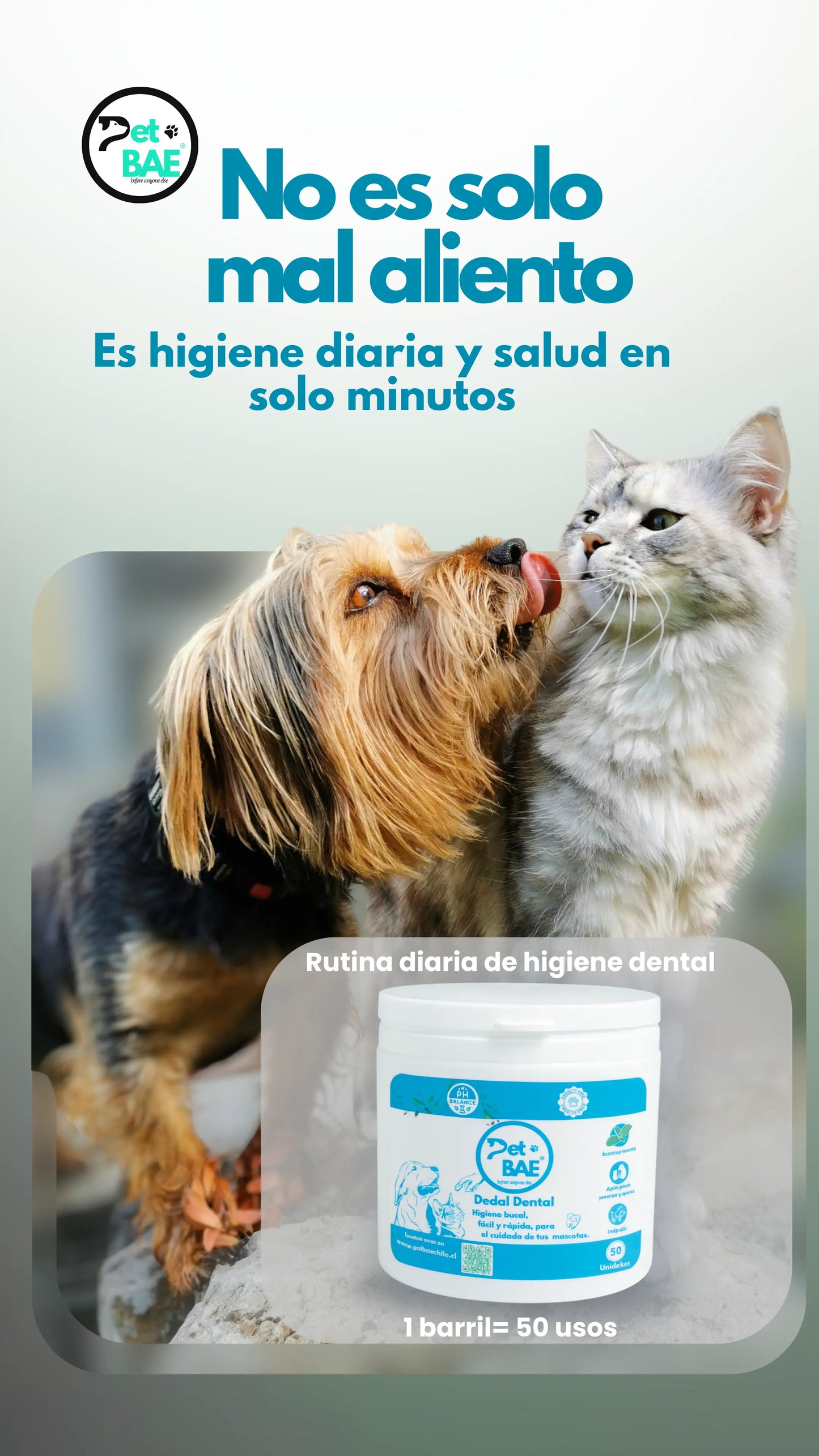 Dedales Dentales Desechables para Mascotas