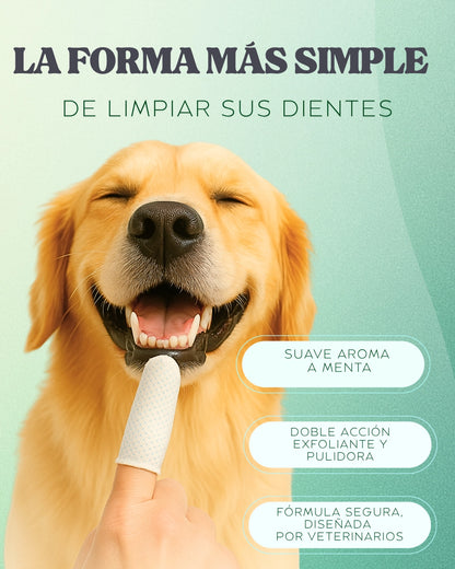 Dedales Dentales Desechables para Mascotas