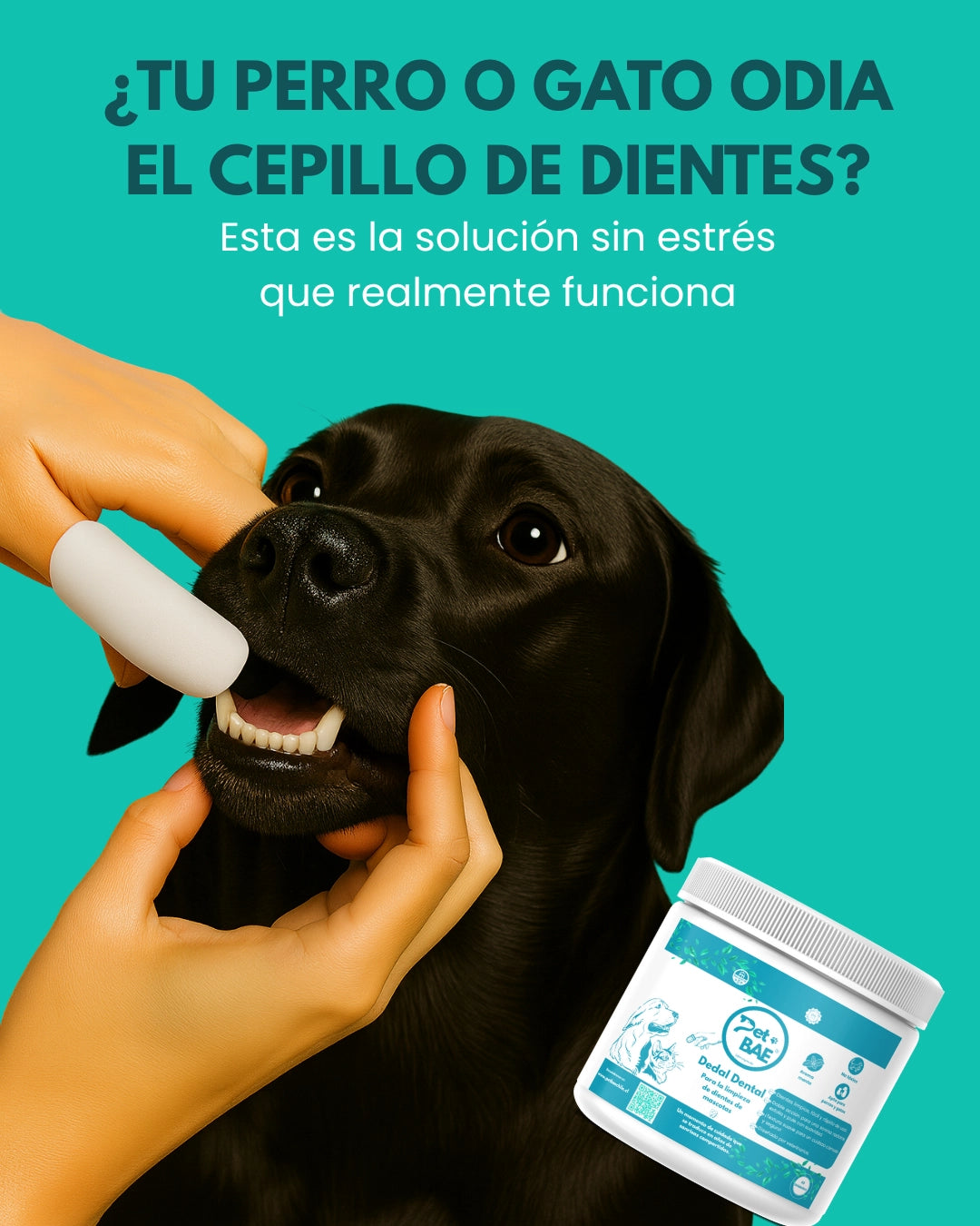 Uso de dedal Pet BAE para limpiar dientes de perro