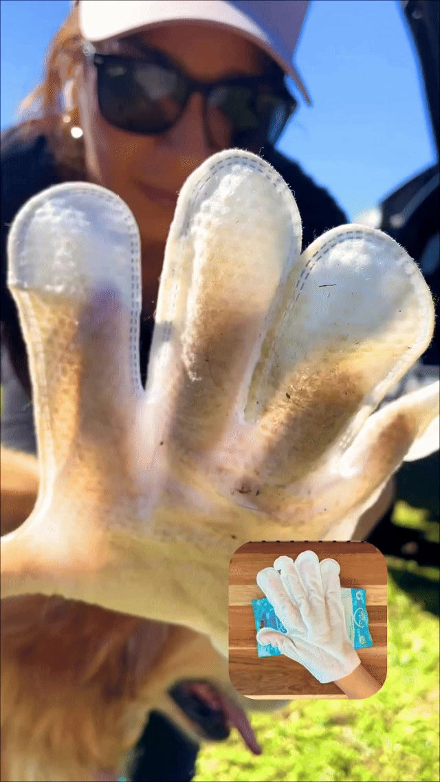 ULimpieza de mascota con guantes húmedos Pet BAE fuera de casa
