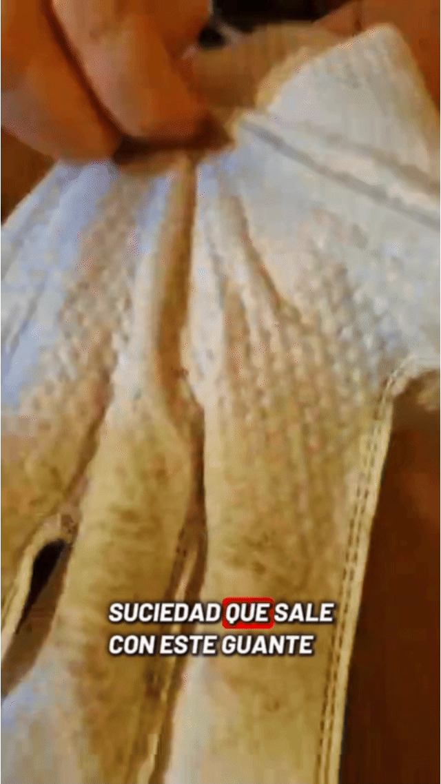 Demostración real de limpieza rápida con guantes Pet BAE
