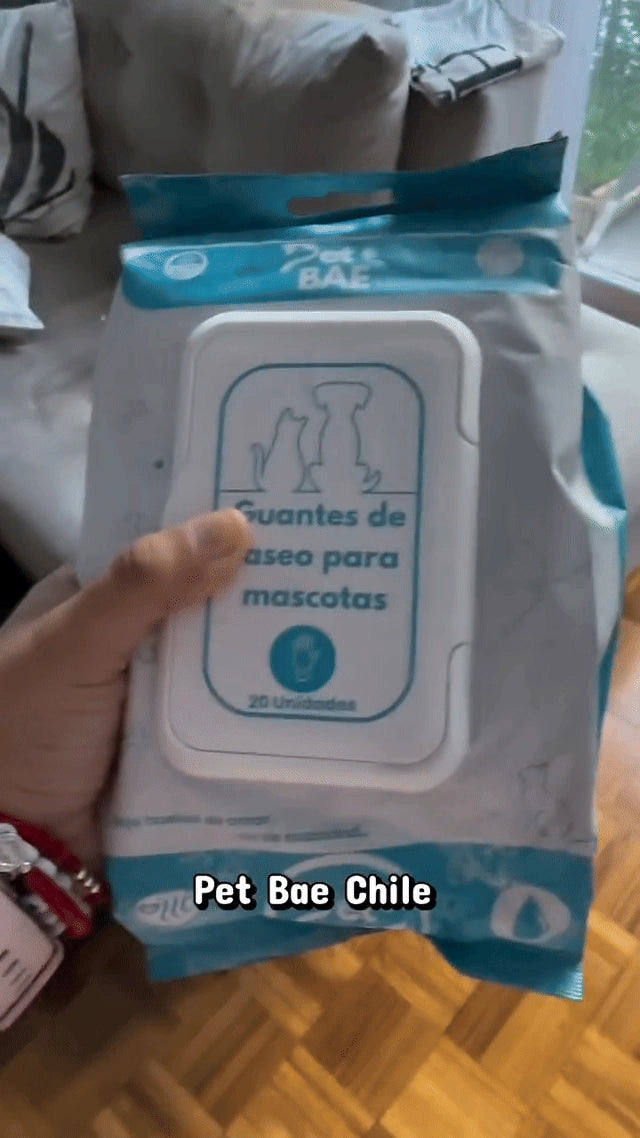 Limpieza con guantes húmedos Pet BAE en perro de pelaje claro