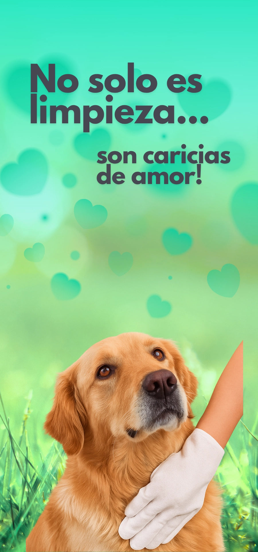 Uso de guantes Pet BAE para limpiar patas de perro